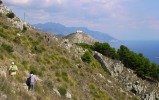 Punta Campanella Natural Reserve