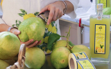Sapori e Profumi di Positano